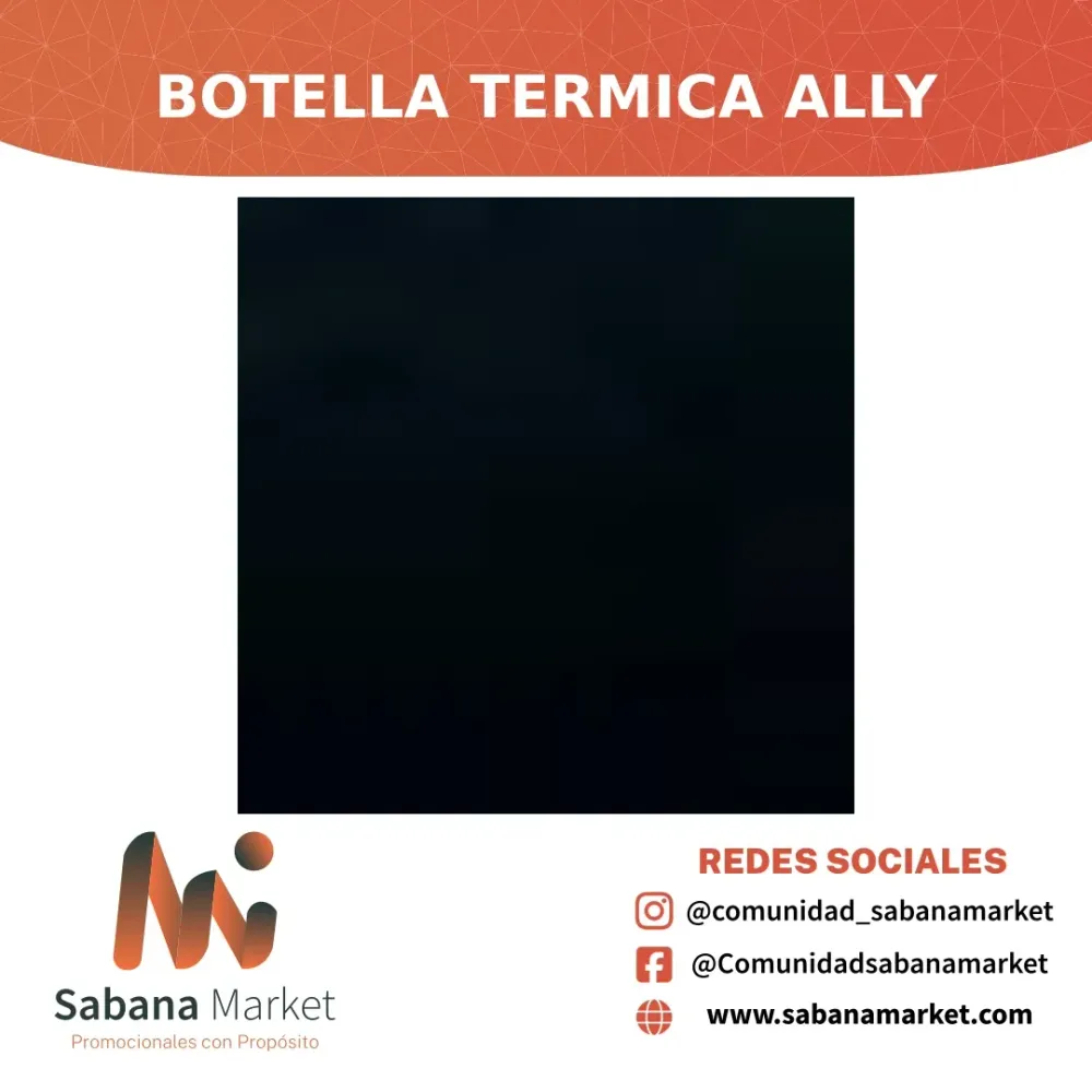 BOTELLA TERMICA ALLY