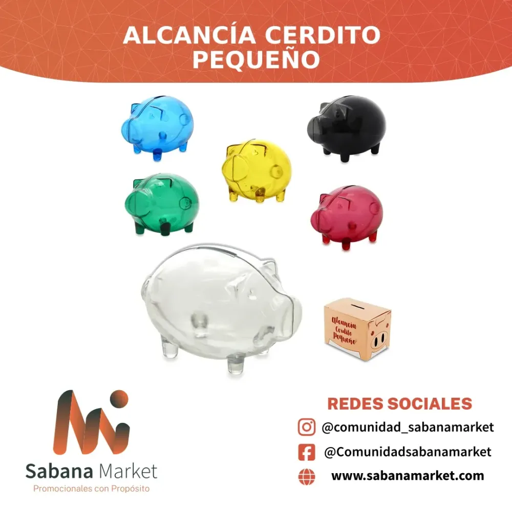 Alcancía Cerdito Pequeño