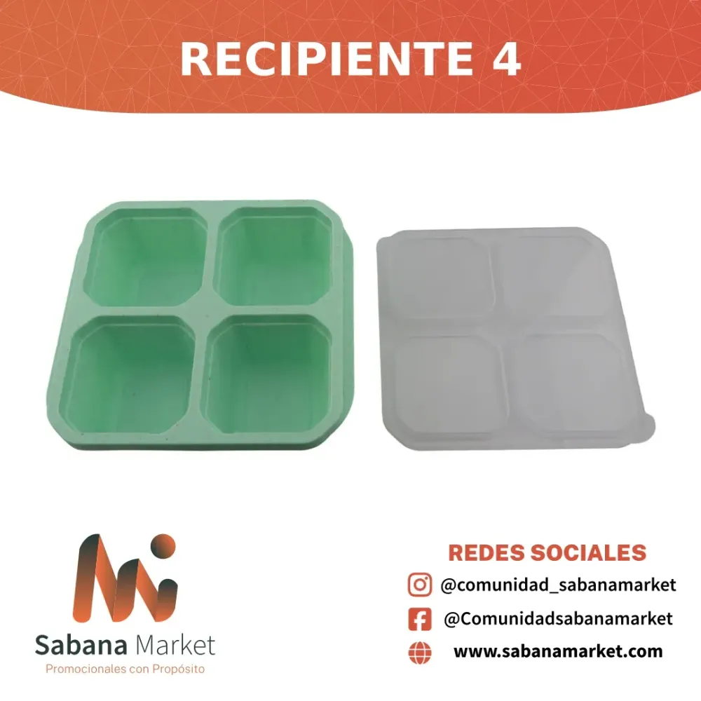 Recipiente 4