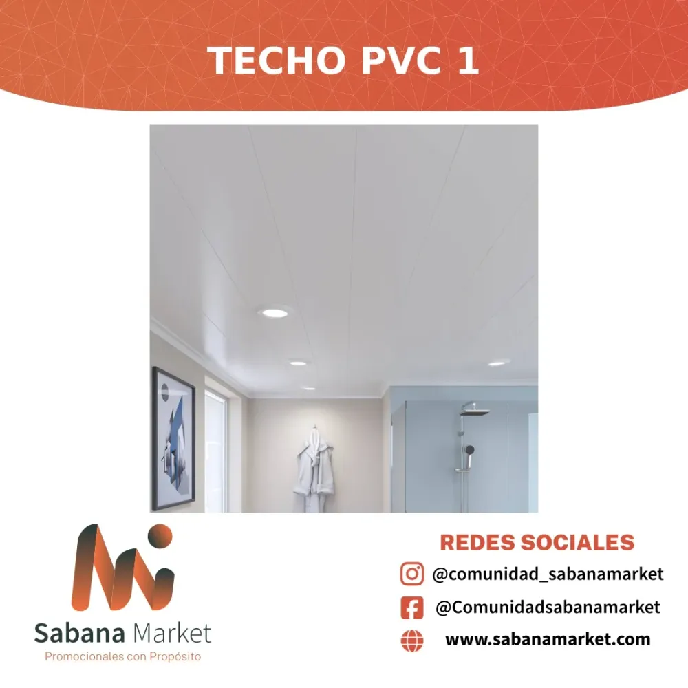 Techo PVC 1
