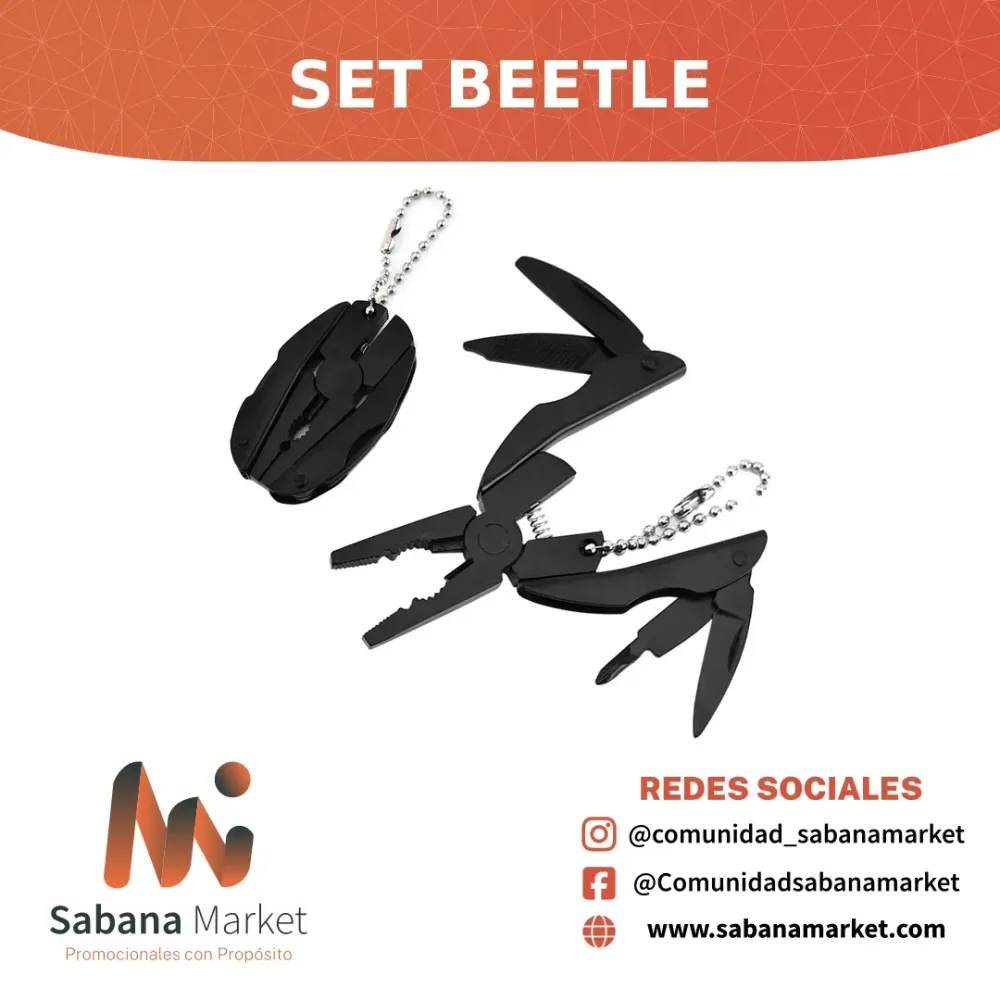 Set Beetle