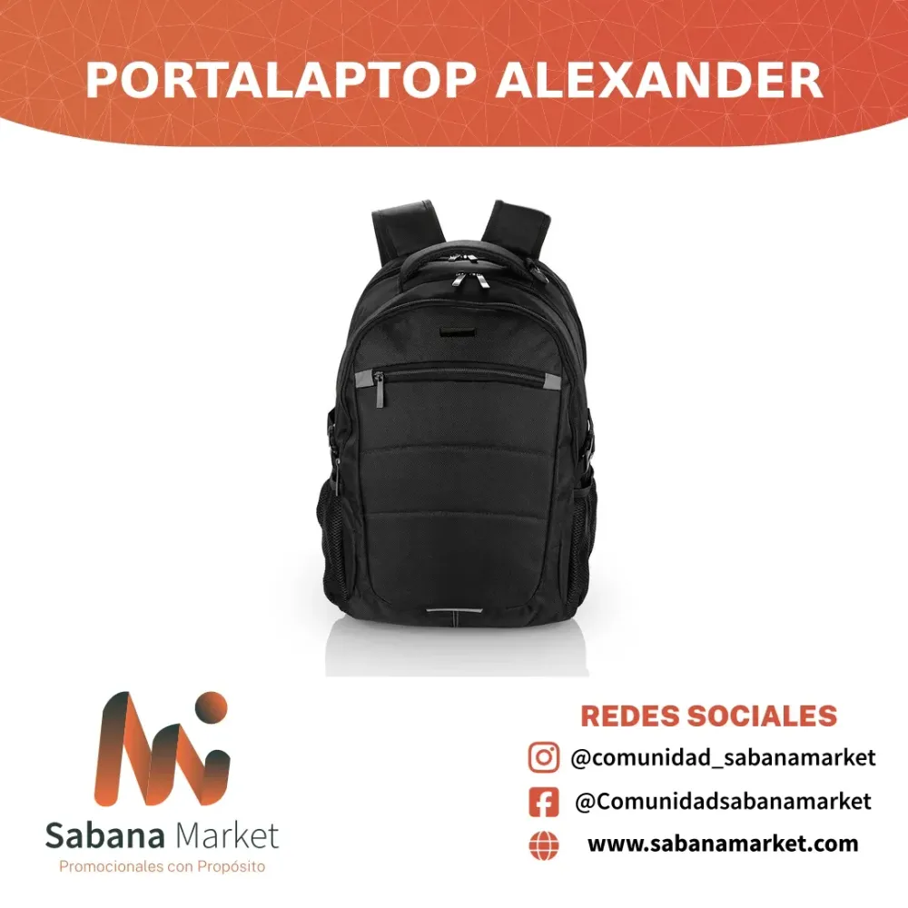 PORTALAPTOP ALEXANDER 29 LTS