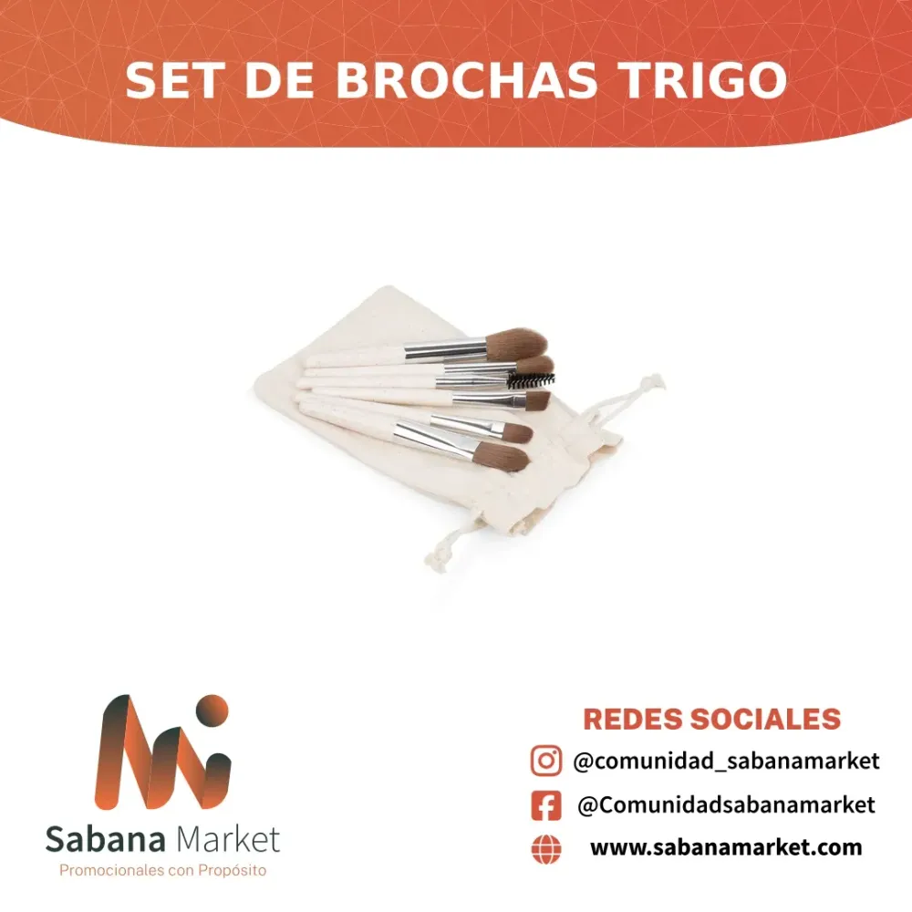 SET DE BROCHAS TRIGO