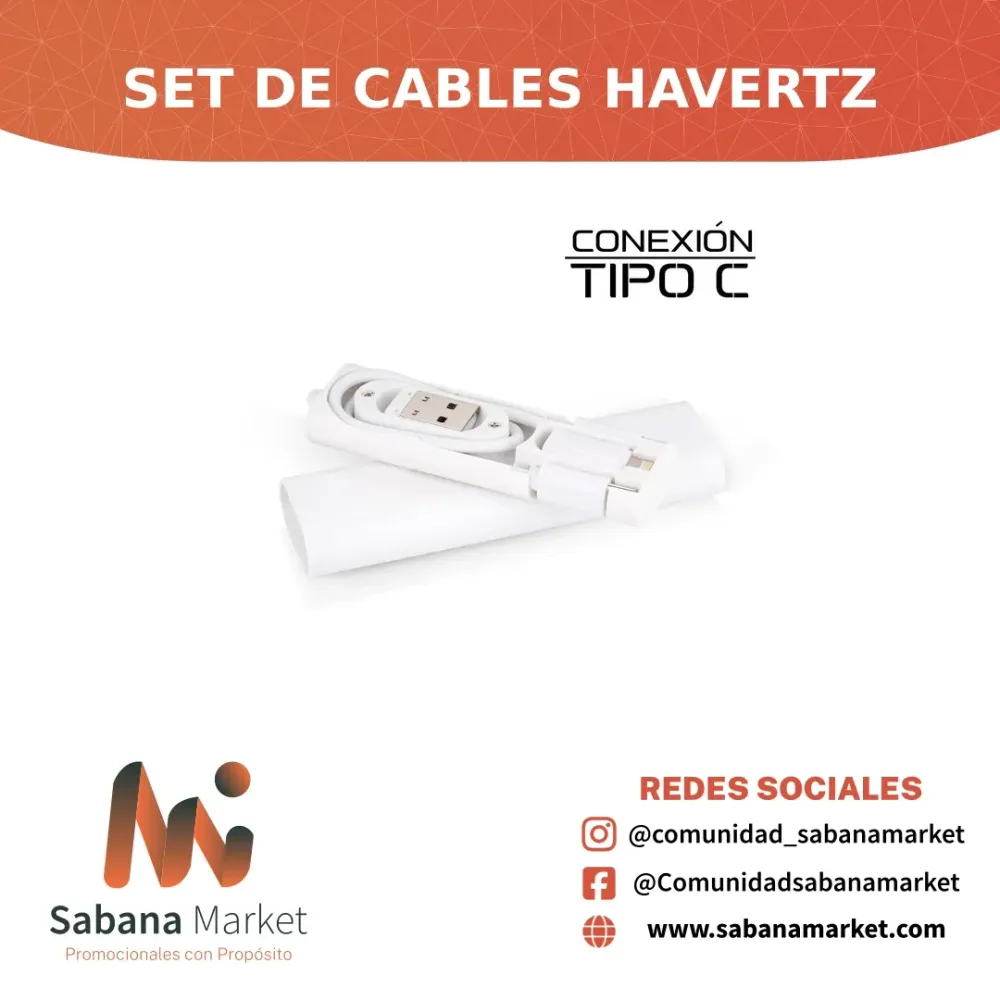 SET DE CABLES HAVERTZ