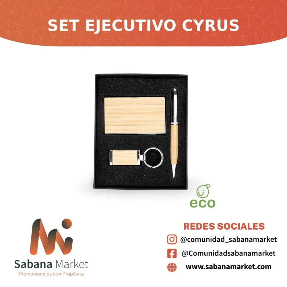 SET EJECUTIVO CYRUS