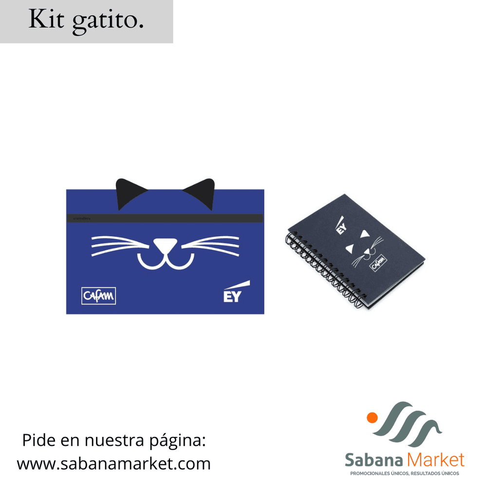 KIT GATITO