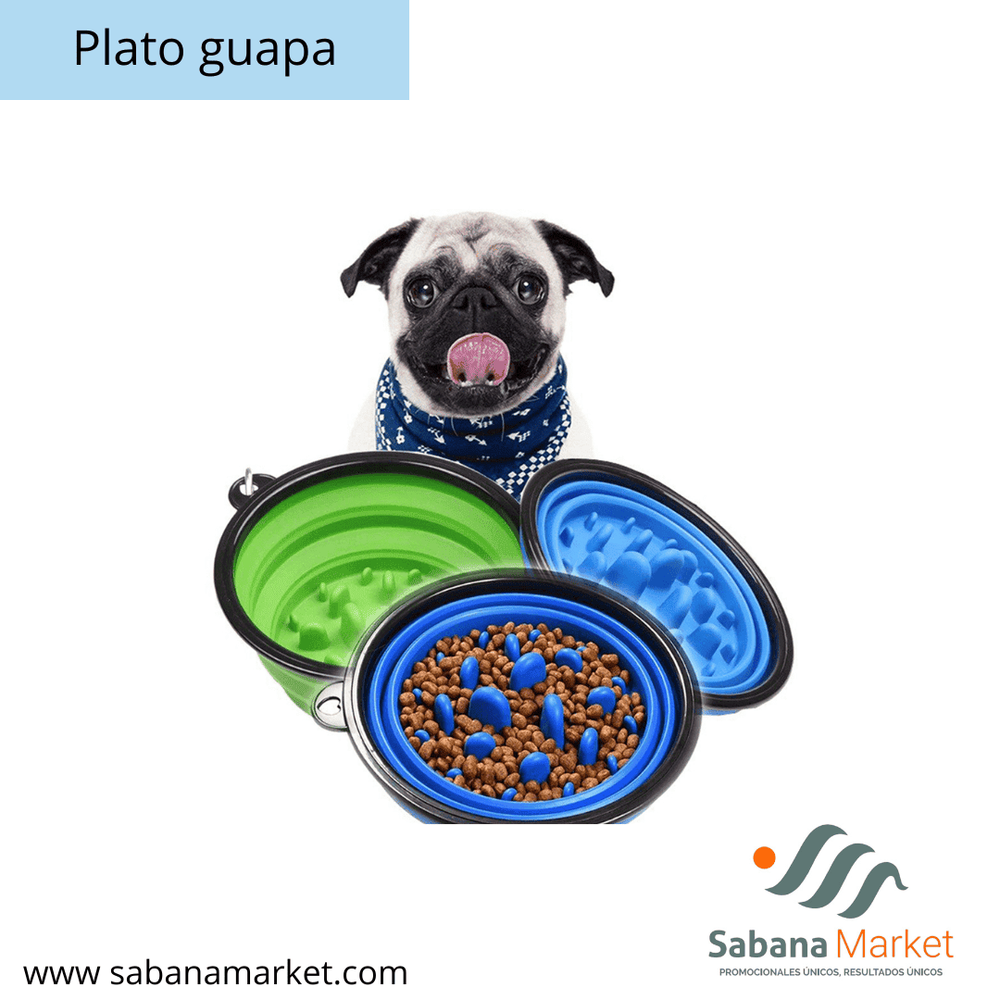 PLATO GUAPA